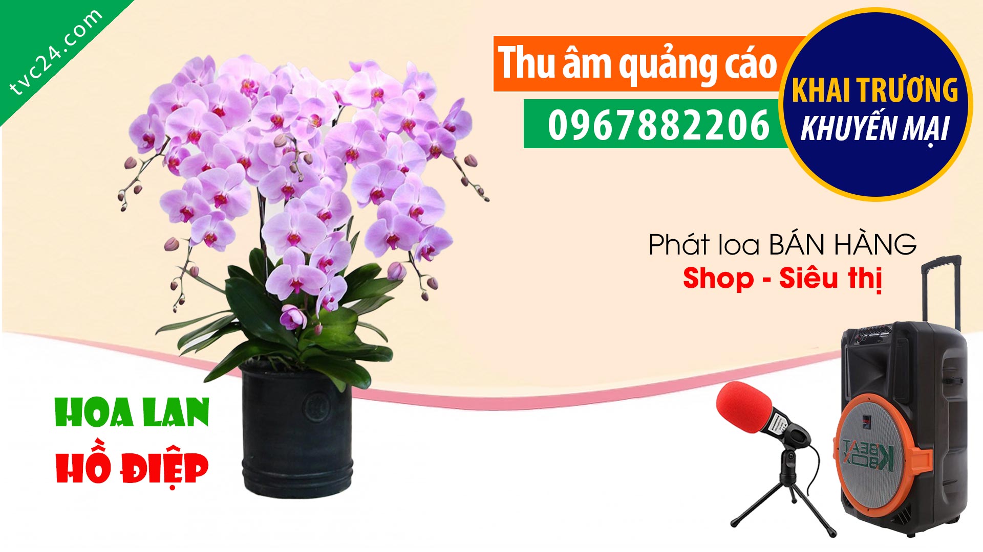 Thu âm Hoa Lan hồ điệp Việt Pháp bán hoa TẾT các loại