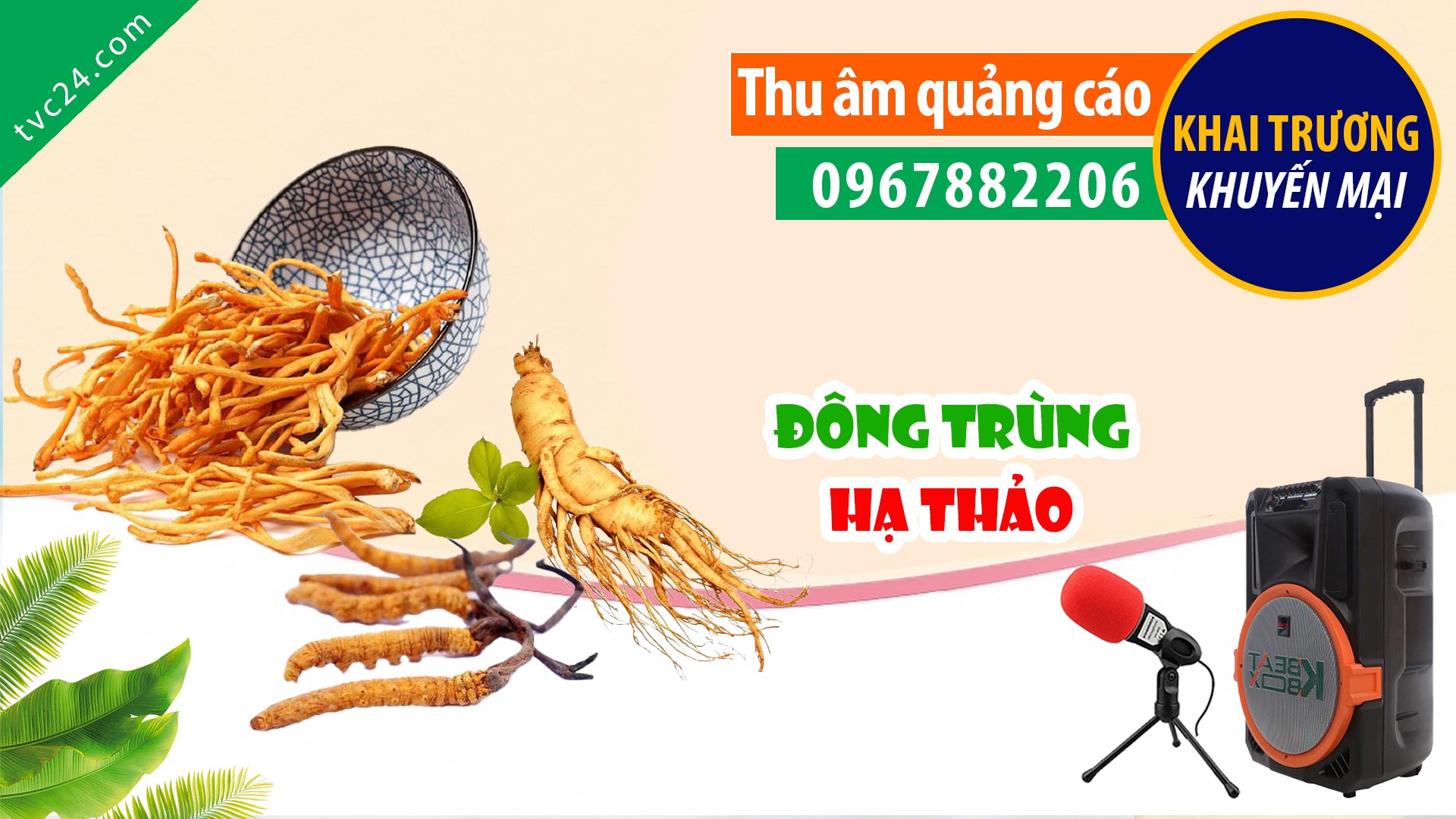 Thu âm lời bình Quảng cáo TVC doanh nghiệp Đông trùng Hạ thảo Elite