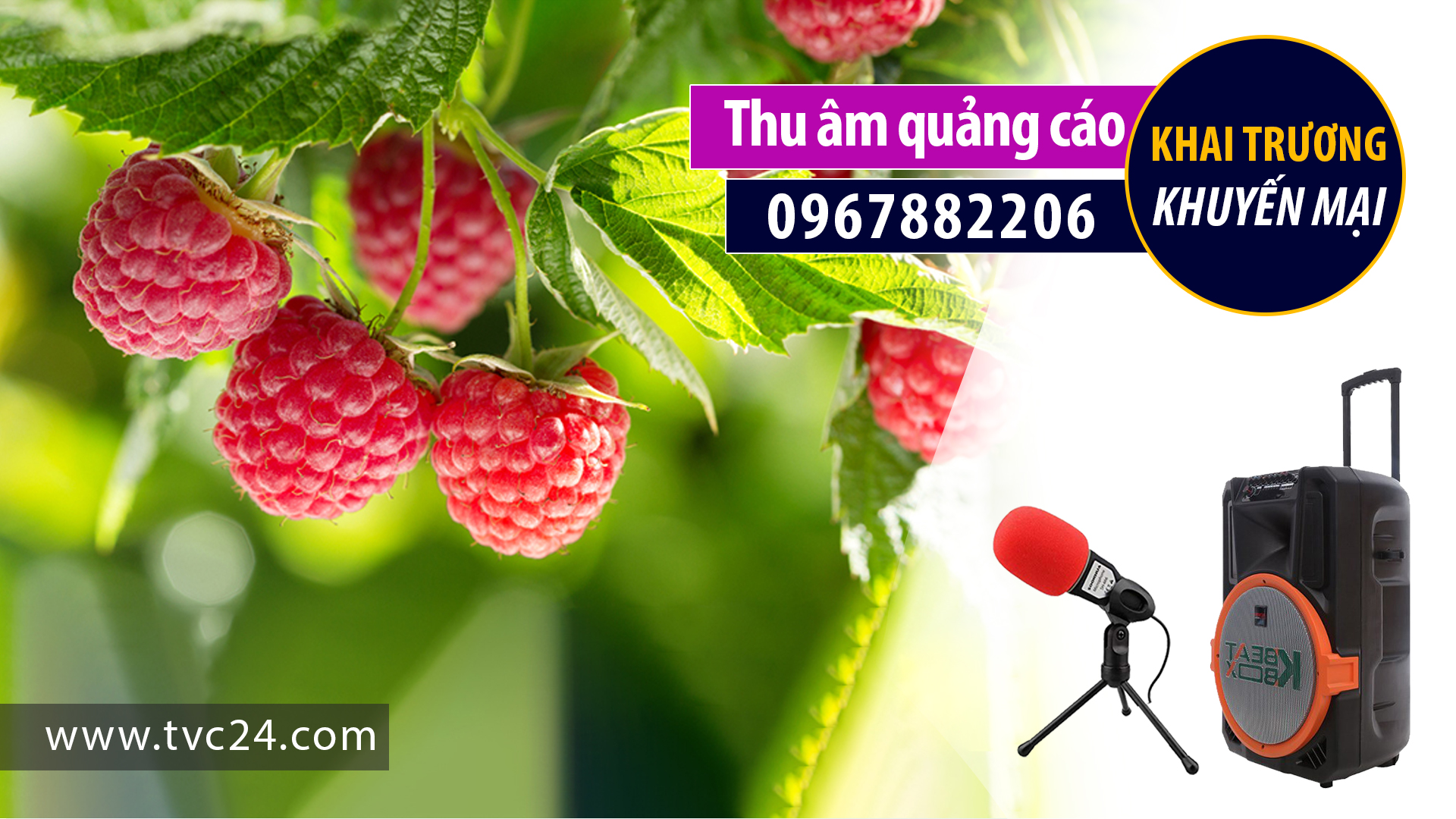 Thu âm quảng cáo cửa hàng Quang phong bán cây giống MC đọc 0967882206