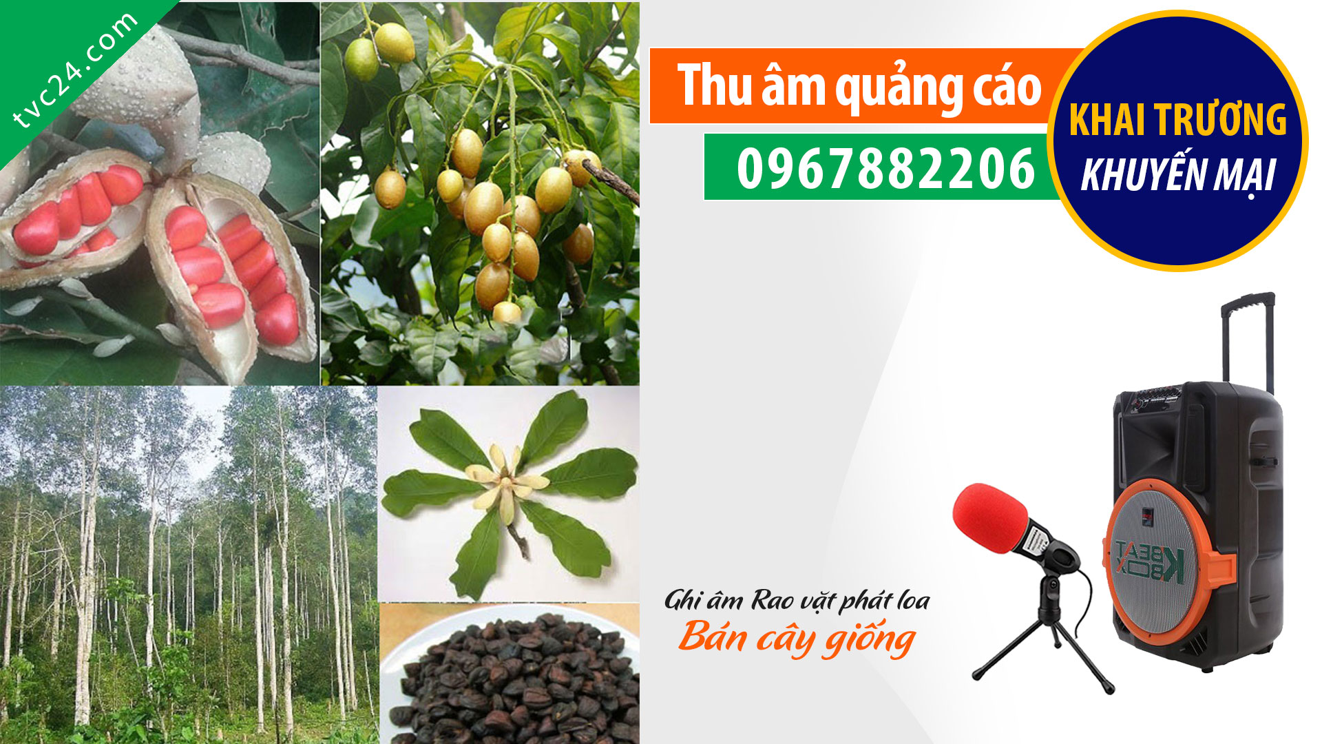 Thu âm quảng cáo Nhà vườn Hoàng Giang bán cây giống MC đài truyền hình VTV HTV VOV VTC đọc 096788220